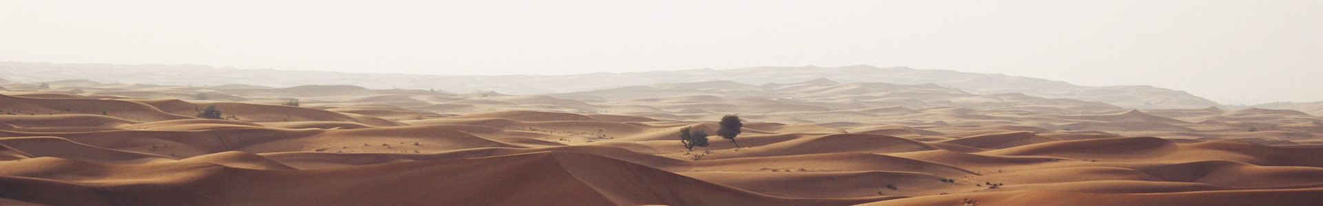 ϺFƼ޹˾